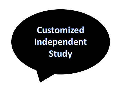 Customized Independent Study Project